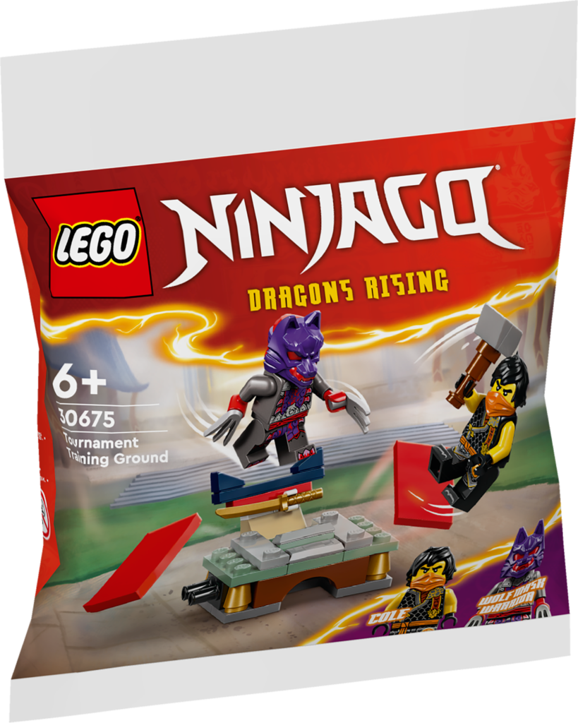 LEGO Turneringsträning 30675