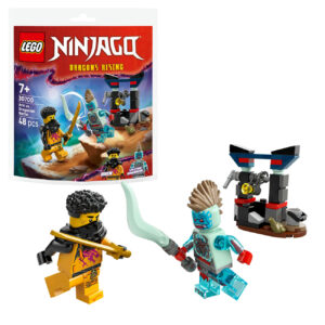 LEGO Arins strid mot dragonier 30700