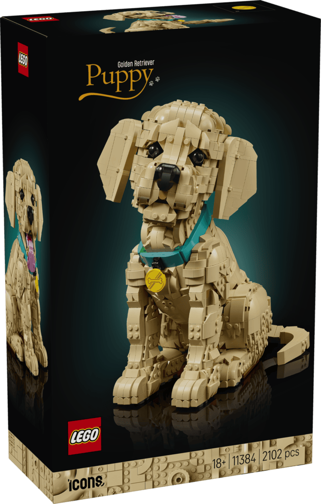 LEGO Golden retriever-valp 11384