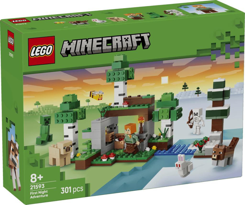 LEGO Första nattens äventyr 21593